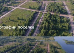 Иволга фото2.jpg